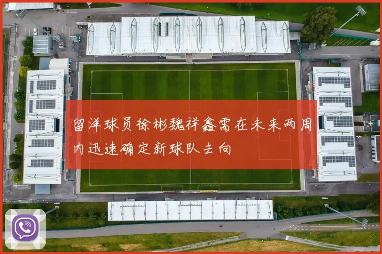 留洋球员徐彬魏祥鑫需在未来两周内迅速确定新球队去向